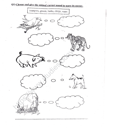 39+ Pet Animals Worksheet For Grade 2 Background | allfunentertainment